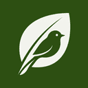 Morinoto